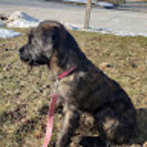 Meet your Posher, Alani